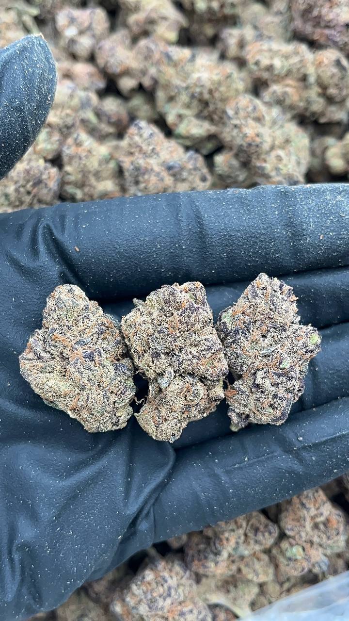 Berry Gelato