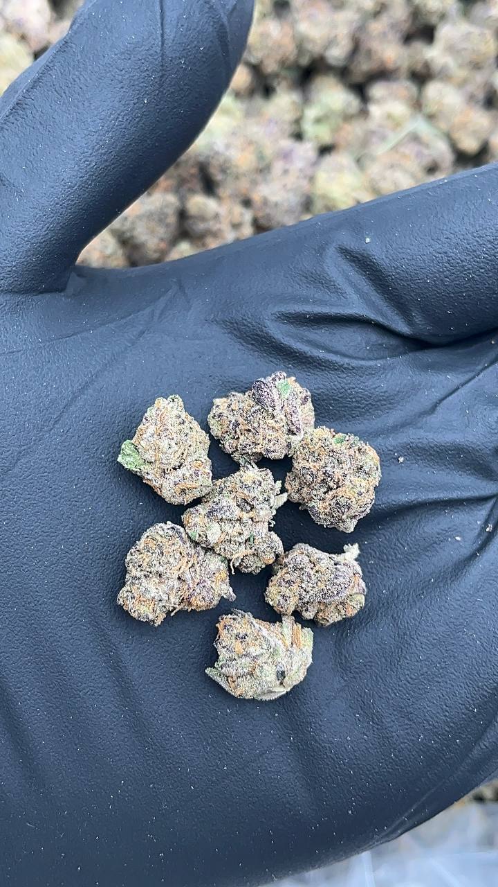 Cheetah Mintz Smalls