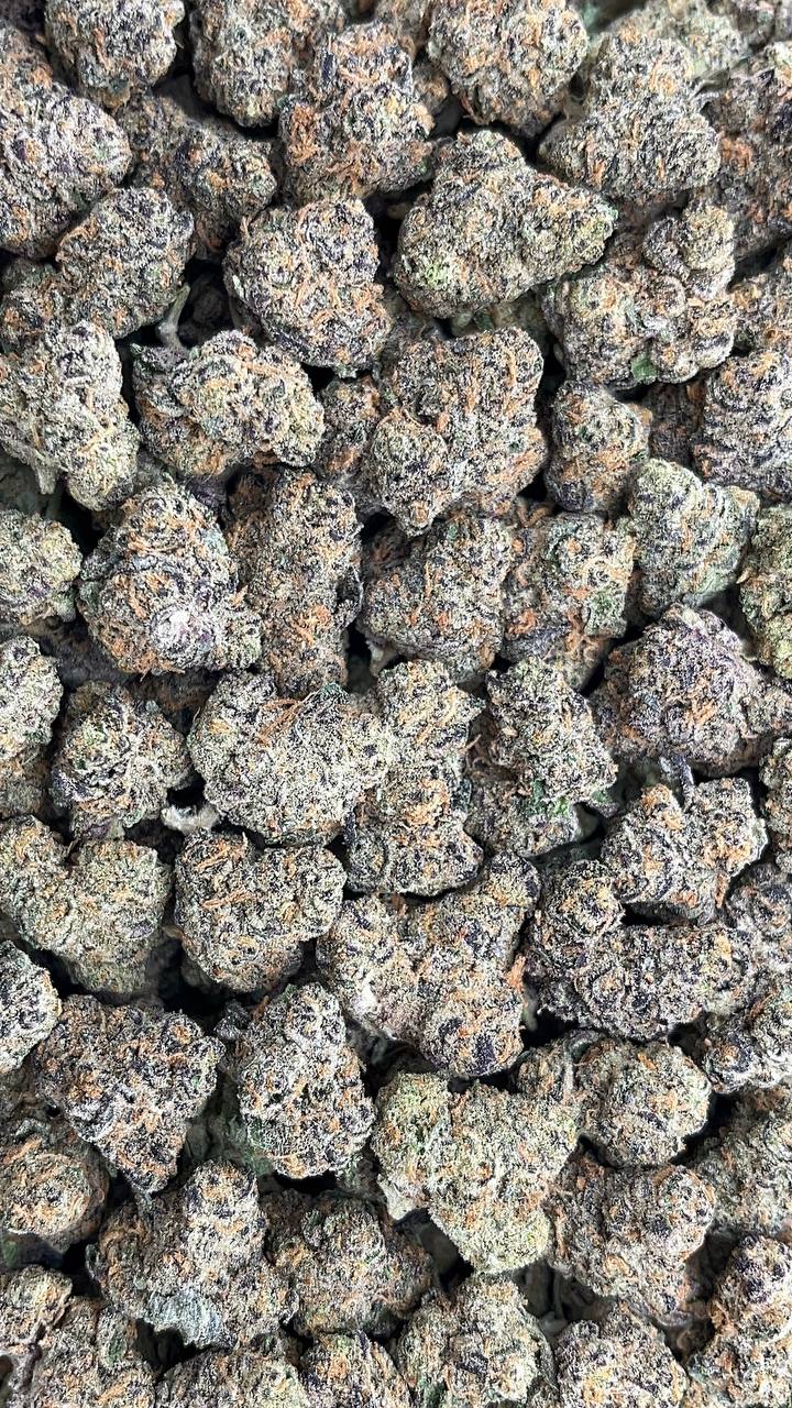 Cheetah Mintz Smalls