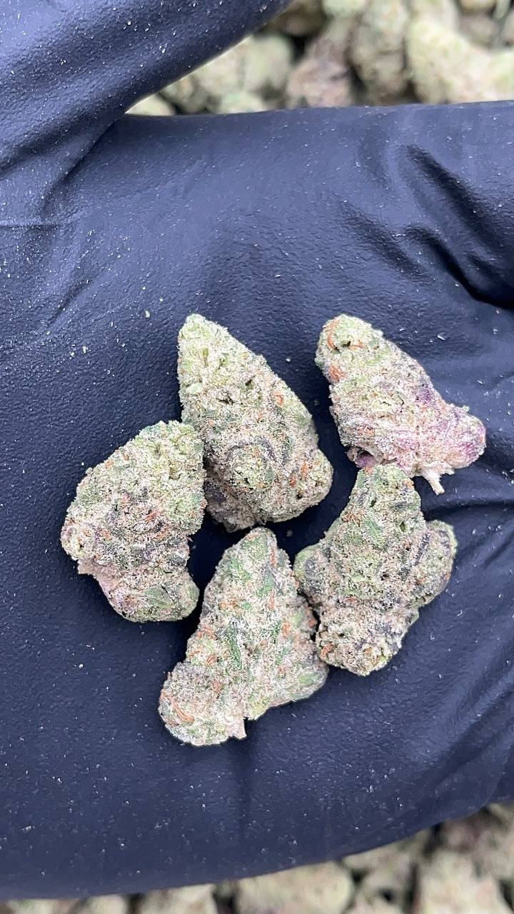 Peanut Butter Shake SM -  (Licensed)