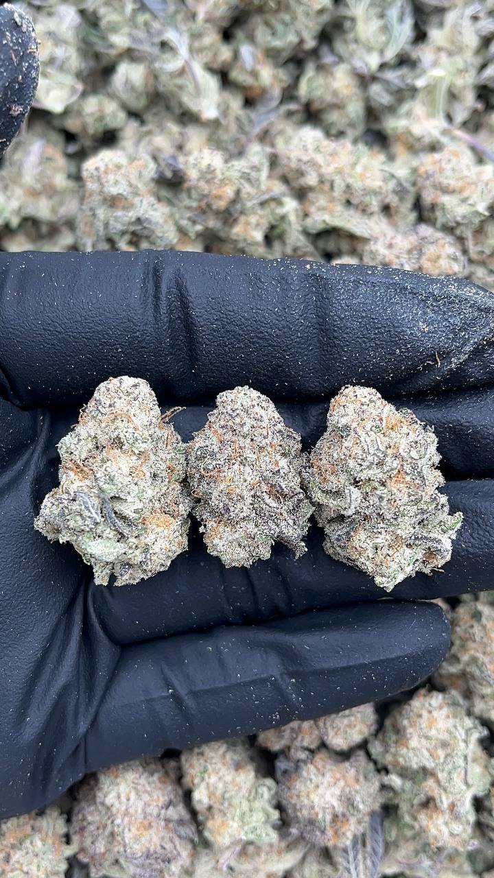 Alien Cookies Smalls