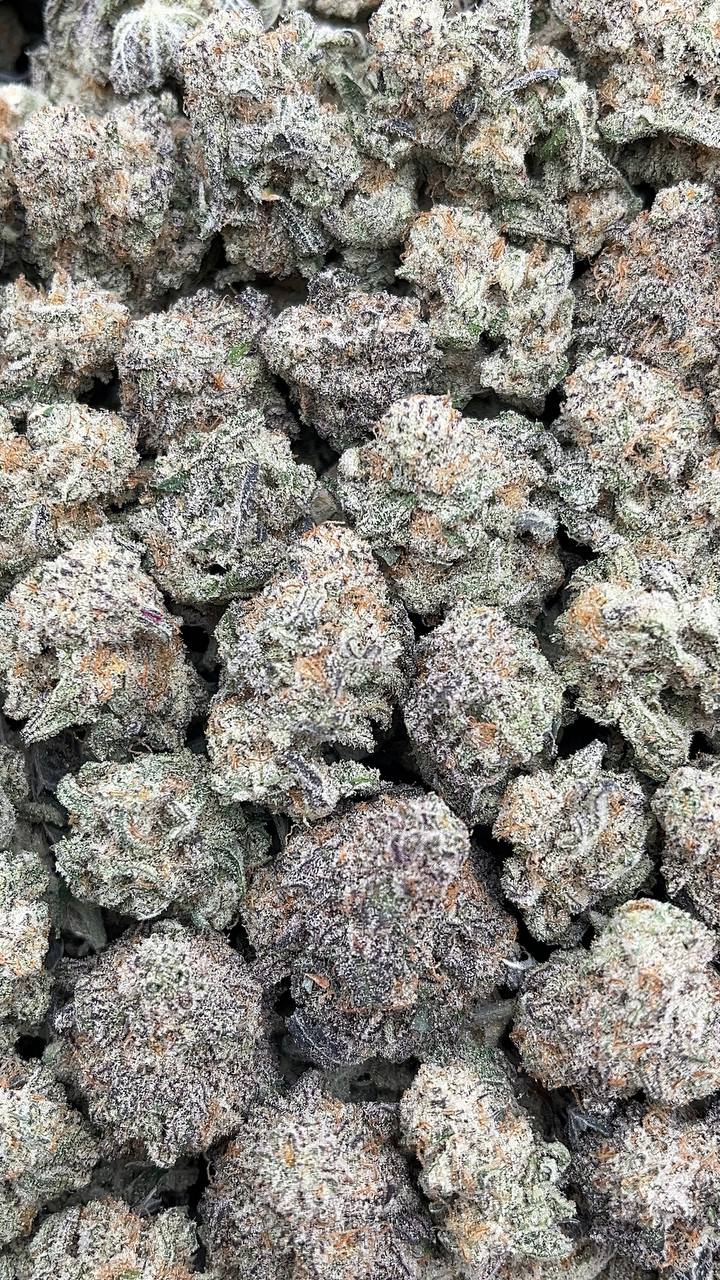 Alien Cookies Smalls