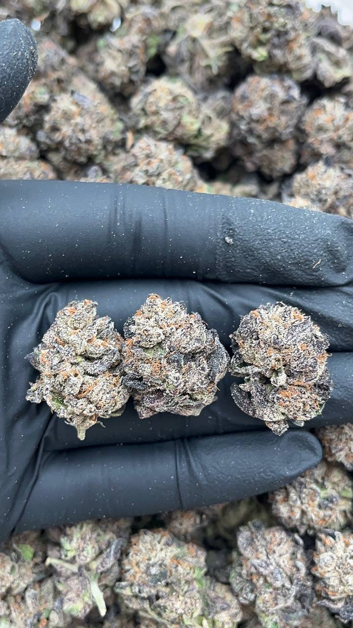 High Noon Irish Cream(Organic)