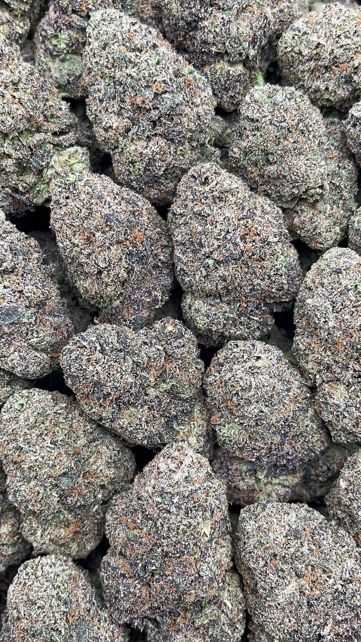 Lemon Cherry Gelato - PK574