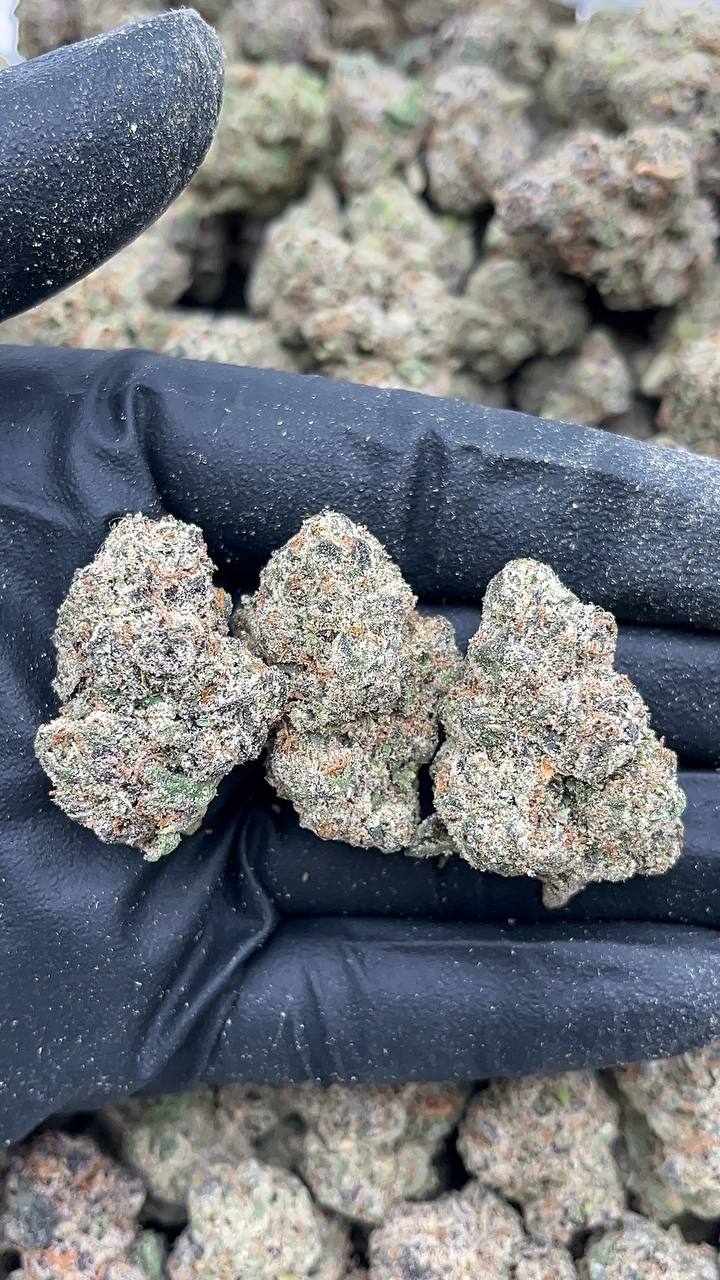 Ace Candy (Licensed)