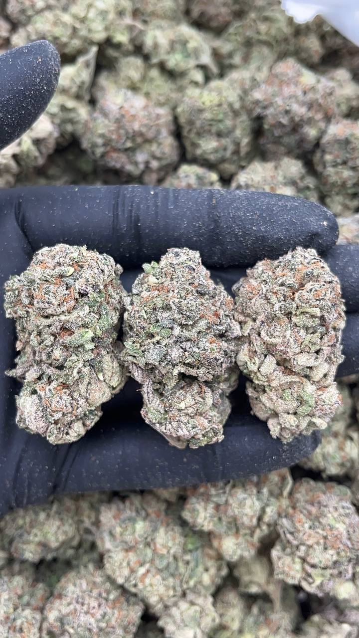 White Strawberry Skunk