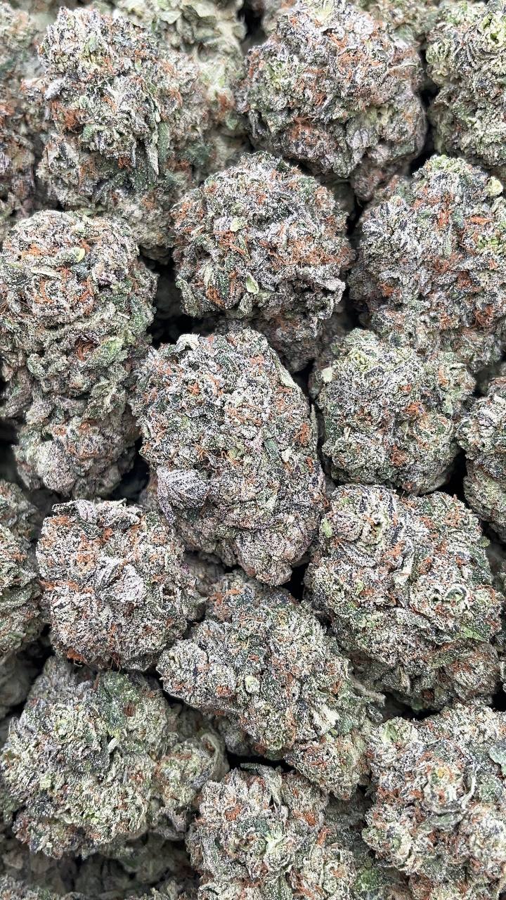 White Strawberry Skunk