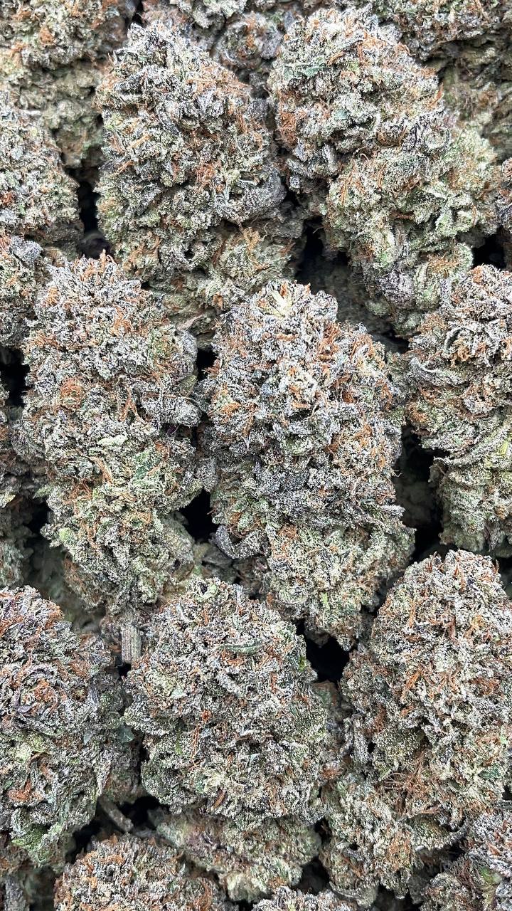Platinum Haze