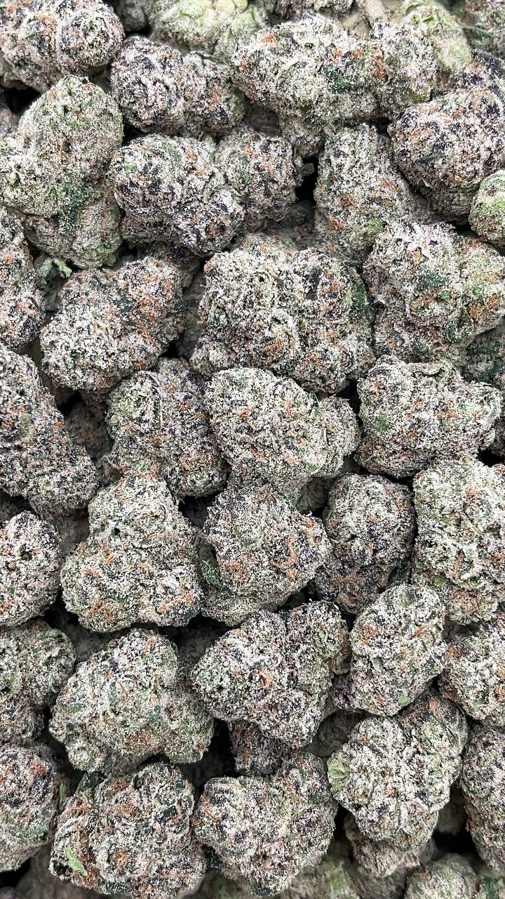 Gelato 33 Mediums (Licensed)