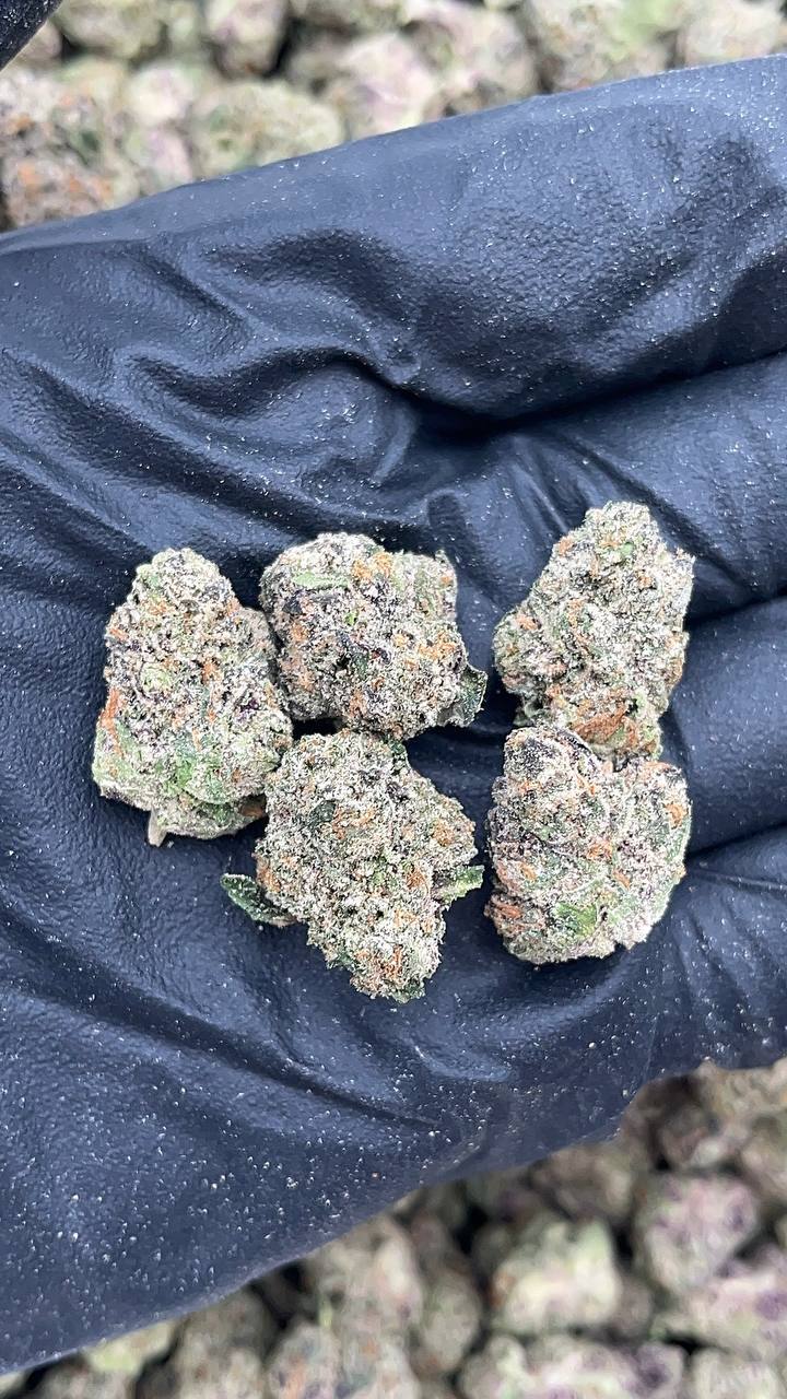 Cherry Zlushie Mediums(Licensed)