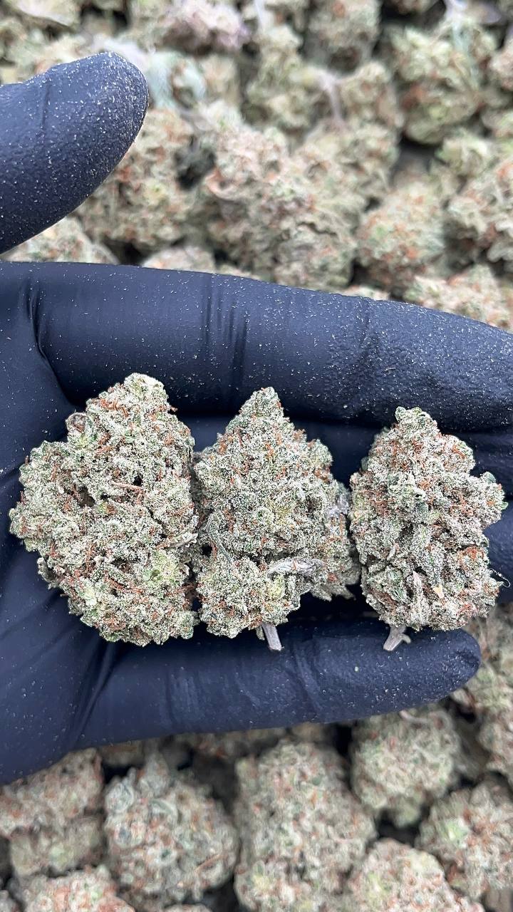 Fruity Gum