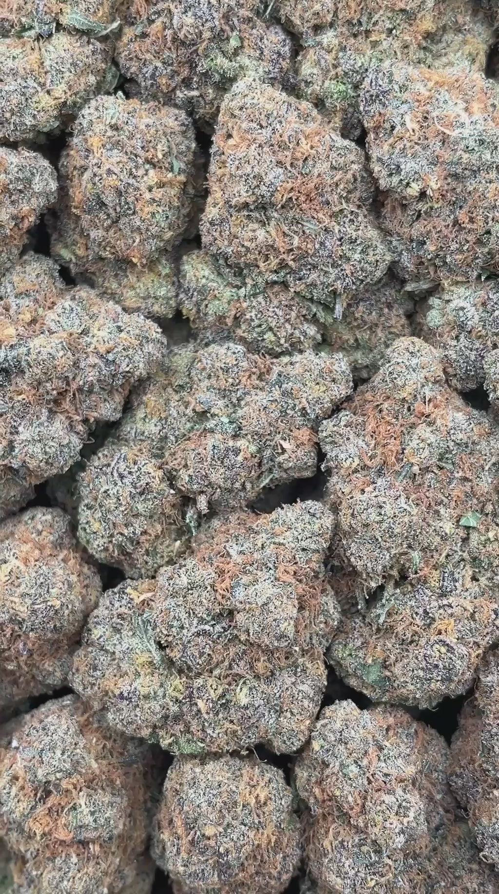 Tiger’s Milk